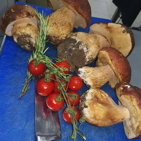 къща томови,стаи за гости Vendégház