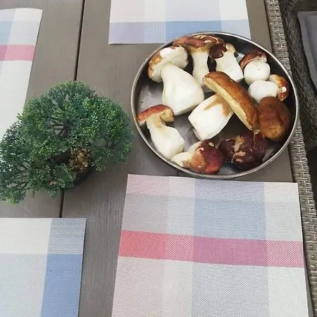 Gasthuis къща томови,стаи за гости