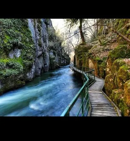 къща томови,стаи за гости Gasthuis