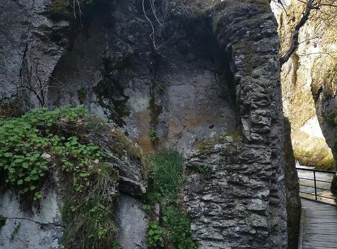 къща томови,стаи за гости Gasthuis Devin