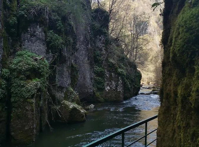 къща томови,стаи за гости 4*