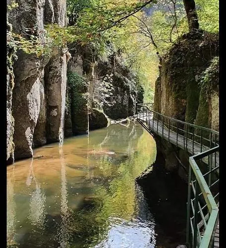 Gasthuis къща томови,стаи за гости Devin