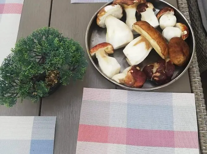 Gasthuis къща томови,стаи за гости